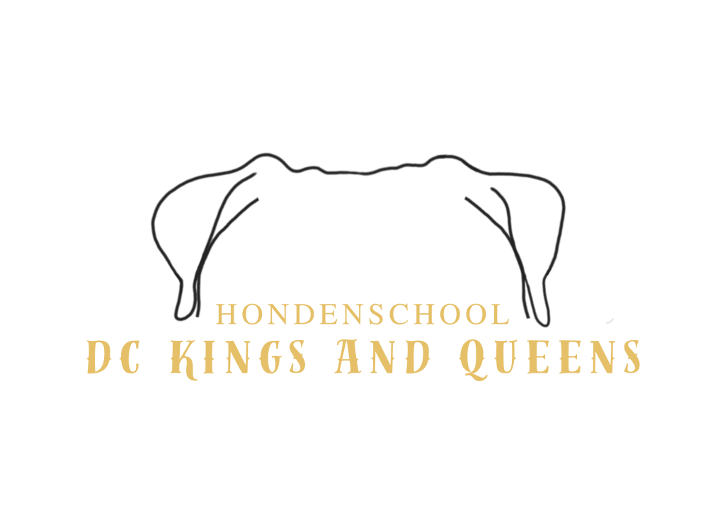 De Hondenschool in de Eemsdelta
